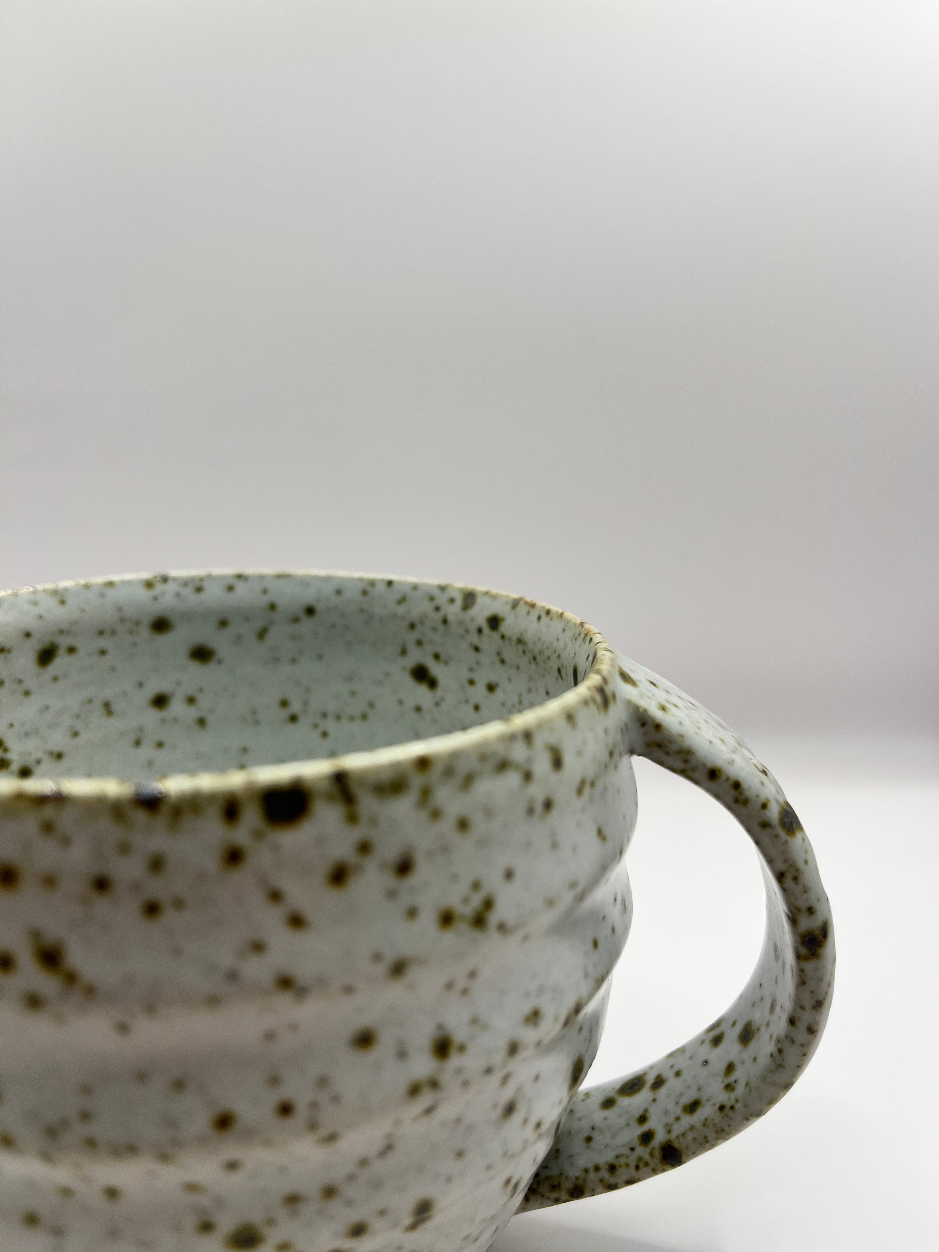 Large Curve Speckled Mug